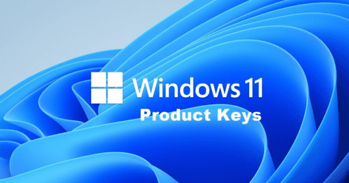 Key Windows 10 Pro, Key Windows 11 Pro, Windows 11 Home, Windows 10 Home